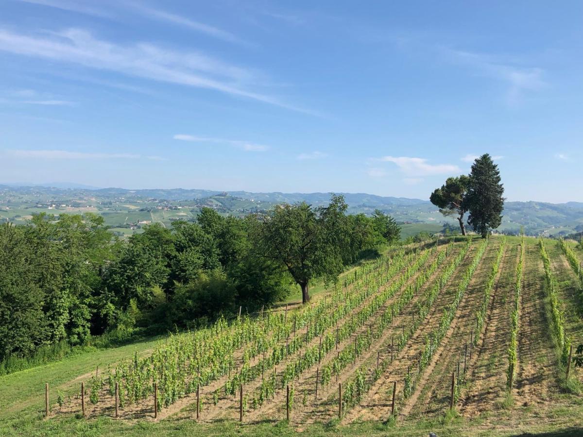 Bed & Breakfast Cascina San Michele