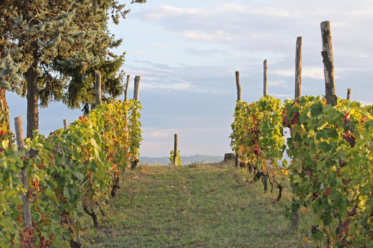 Cascina San Michele Bed & Breakfast